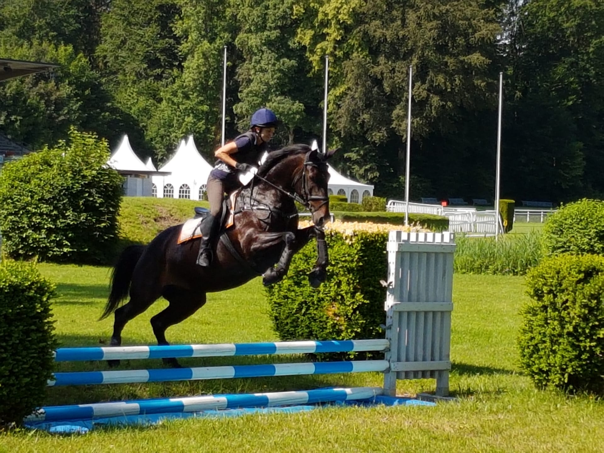 Unbenanntes Dokument